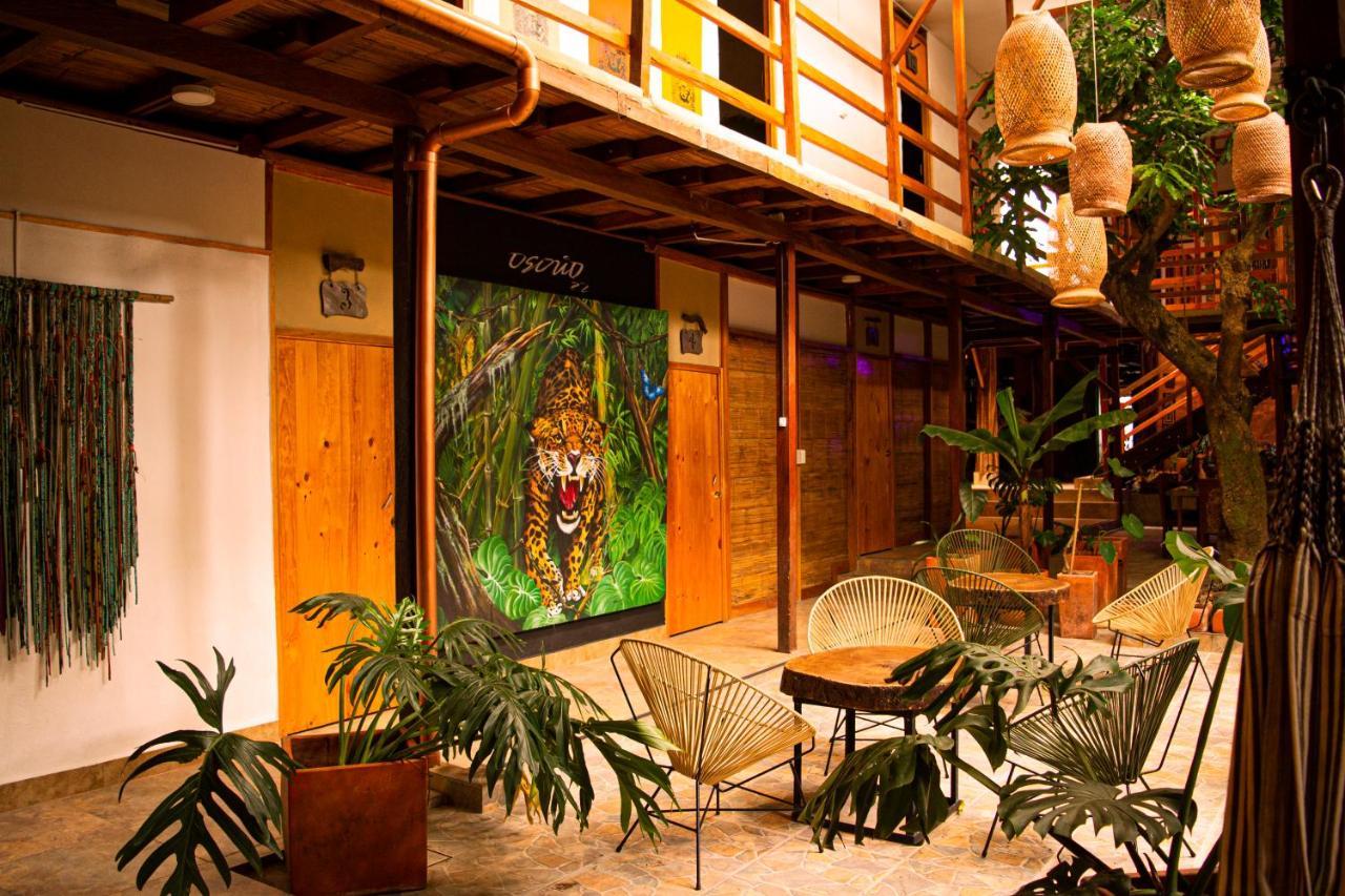 Refugio Del Jaguar Hotel Medellín Eksteriør billede